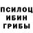 Галлюциногенные грибы мицелий Jenia_ Lin_5