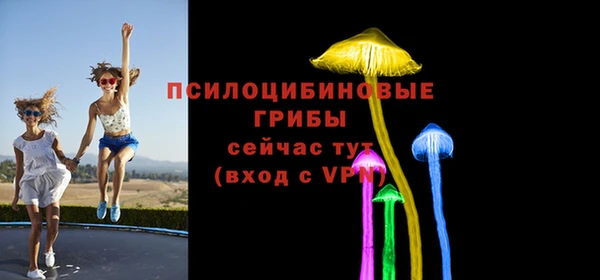 гашик Белоозёрский