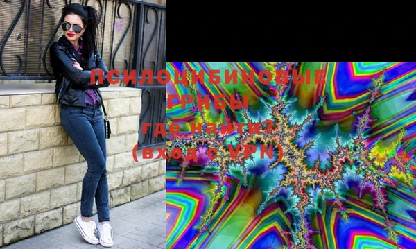 гашик Белоозёрский