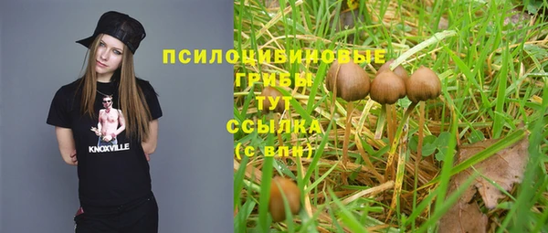 гашик Белоозёрский