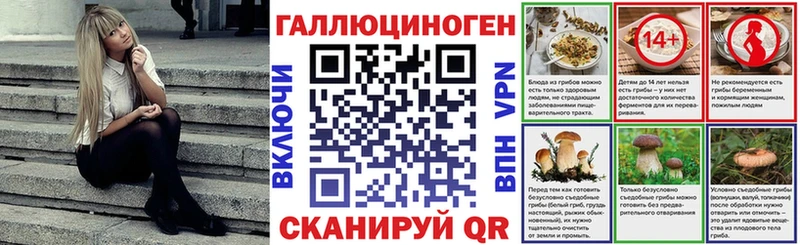 Галлюциногенные грибы Psilocybine cubensis  MEGA ссылки  Ярцево 